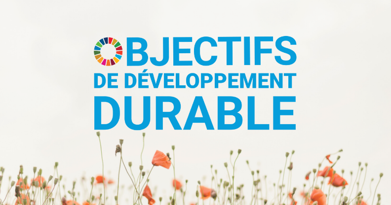 Objectifs de développement durable