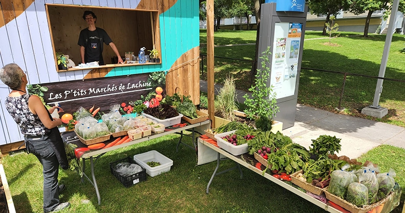 Marché de fruits et légumes